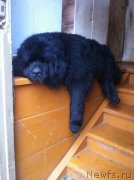 Превью фото № 220243