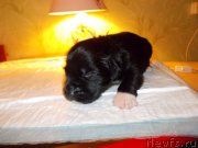 Превью фото № 220275