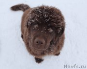 Превью фото № 220316