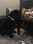 Превью фото № 220322