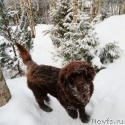 Превью фото № 220329