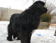 Превью фото № 220403