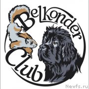 Превью фото № 220406