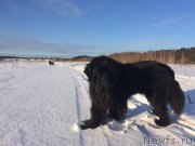 Превью фото № 220422