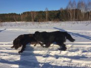 Превью фото № 220423