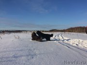 Превью фото № 220424