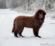 Превью фото № 220429