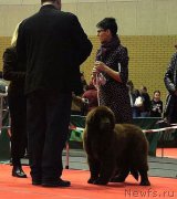 Превью фото № 220434