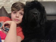 Превью фото № 220473