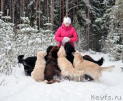 Превью фото № 220480