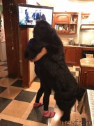 Превью фото № 220512