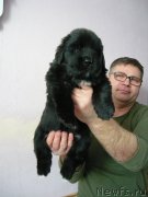 Превью фото № 220513