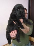 Превью фото № 220514