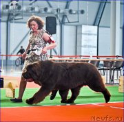 Превью фото № 220545