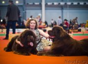 Превью фото № 220549