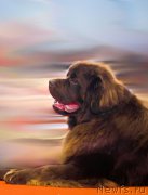 Превью фото № 220551