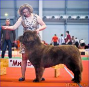 Превью фото № 220552