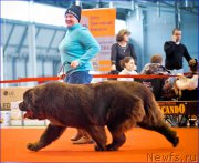 Превью фото № 220553