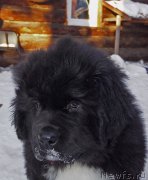 Превью фото № 220587