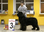 Превью фото № 220591