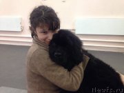 Превью фото № 220686