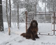 Превью фото № 220691