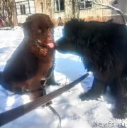 Превью фото № 220748