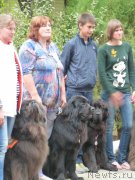 Превью фото № 220766