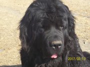 Превью фото № 220767