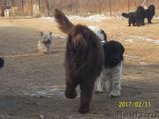 Превью фото № 220771