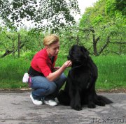 Превью фото № 220789