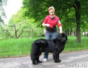 Превью фото № 220794