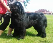 Превью фото № 220796