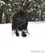 Превью фото № 220809