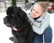 Превью фото № 220824