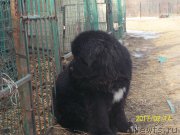 Превью фото № 220868