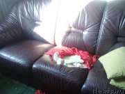 Превью фото № 220895