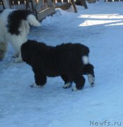 Превью фото № 220936