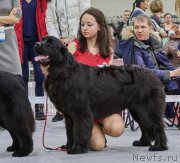 Превью фото № 220963