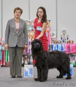 Превью фото № 220966