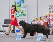 Превью фото № 220967