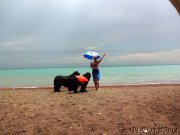 Превью фото № 221178