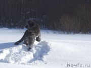 Превью фото № 221270