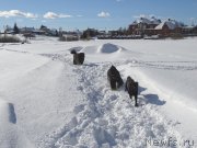 Превью фото № 221284