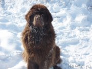 Превью фото № 221291