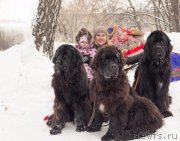 Превью фото № 221311