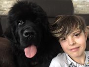 Превью фото № 221318