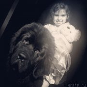 Превью фото № 221323