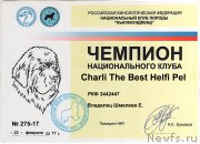 Превью фото № 221376