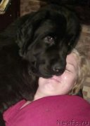 Превью фото № 221465